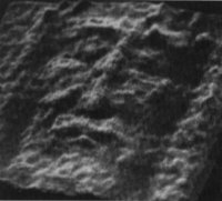 shroud of turin 3d look