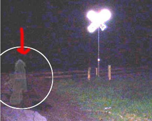 Ghost and spirit pictures, reported to be real.