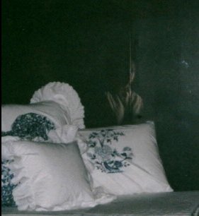 ghost pictures