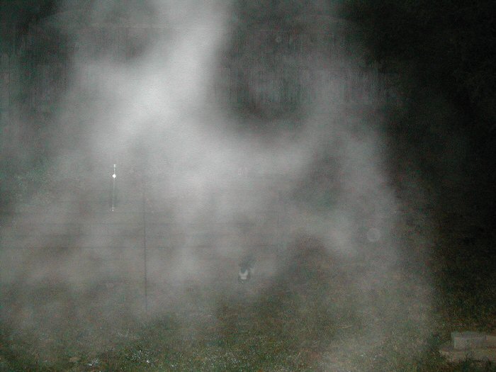 possible ghosts in a fog