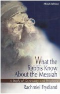What the Rabbis Know About the Messiah